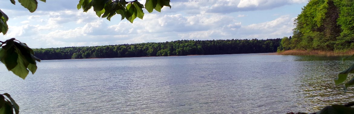 Den See entdecken
