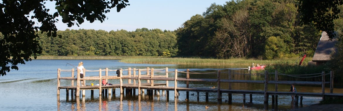 Bootssteg am See